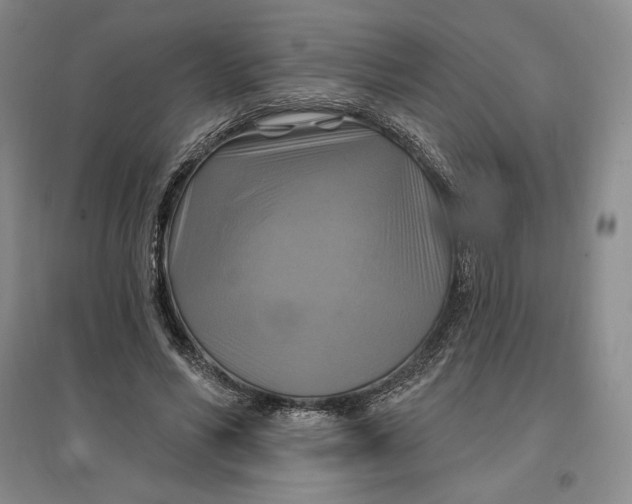 X0000096970590200802291123