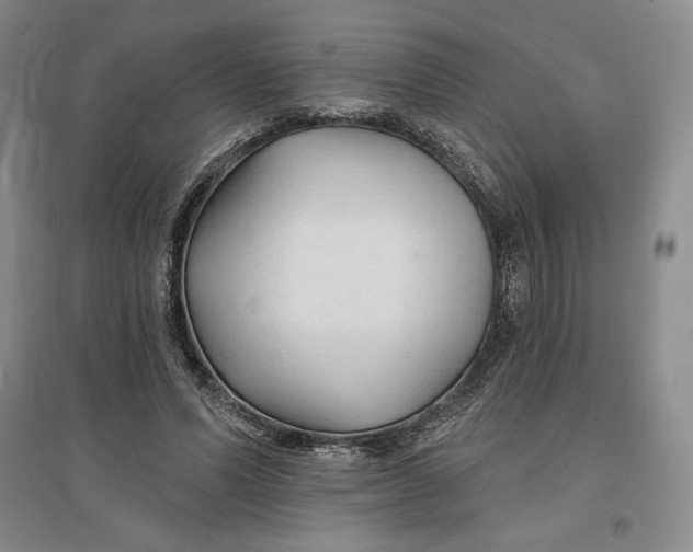 X0000096970591200802291123