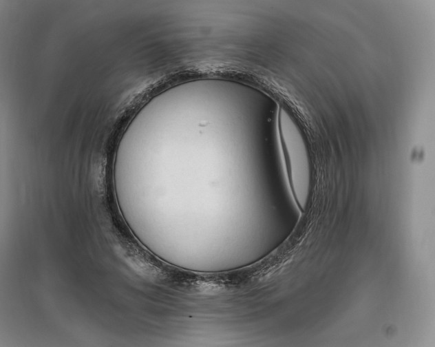 X0000096970592200802291123