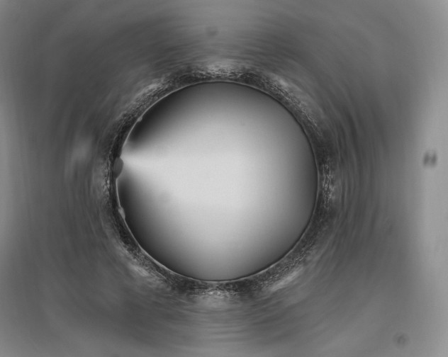 X0000096970593200802291123