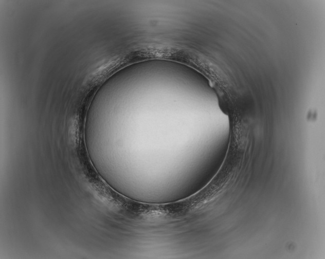 X0000096970594200802291123