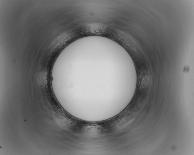 X0000096970595200802291123