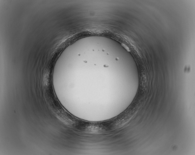 X0000096970596200802291123