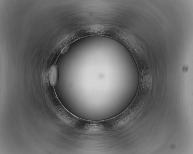 X0000096970597200802291123