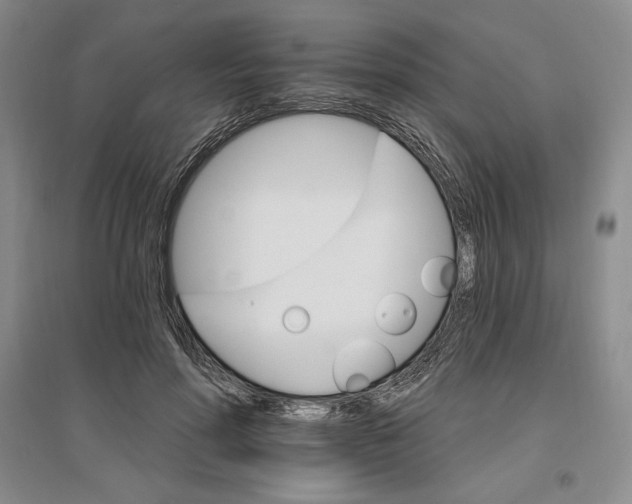 X0000096970598200802291123