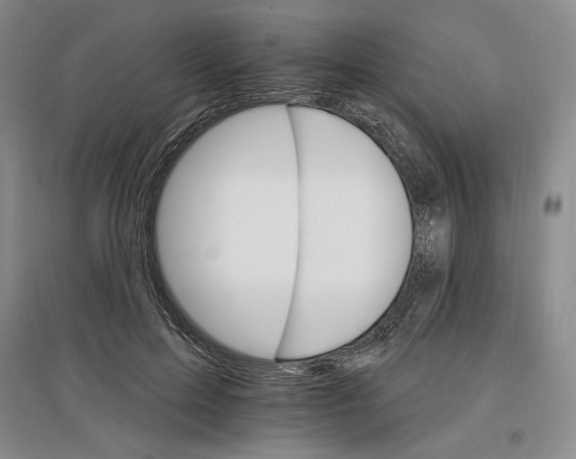 X0000096970599200802291123