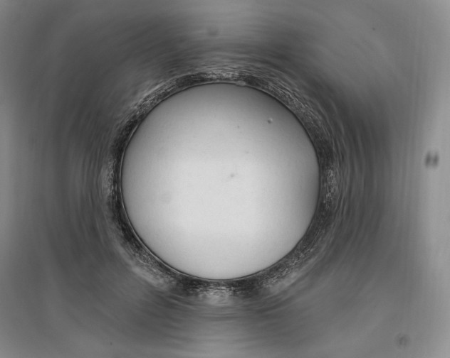 X0000096970600200802291123