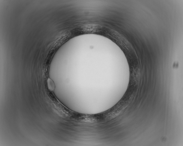 X0000096970601200802291123