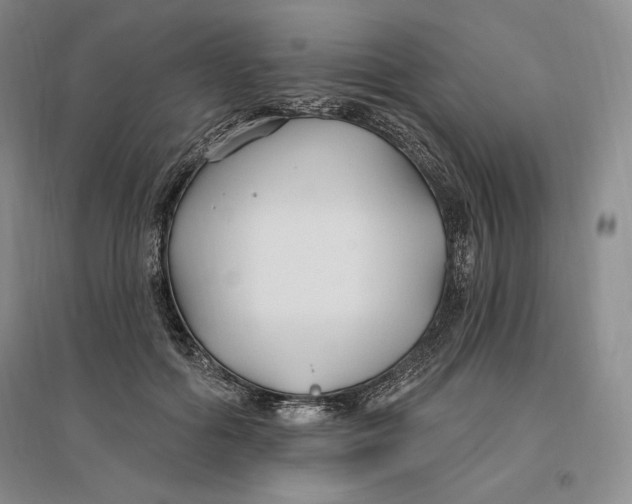 X0000096970602200802291123