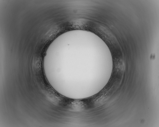 X0000096970603200802291123