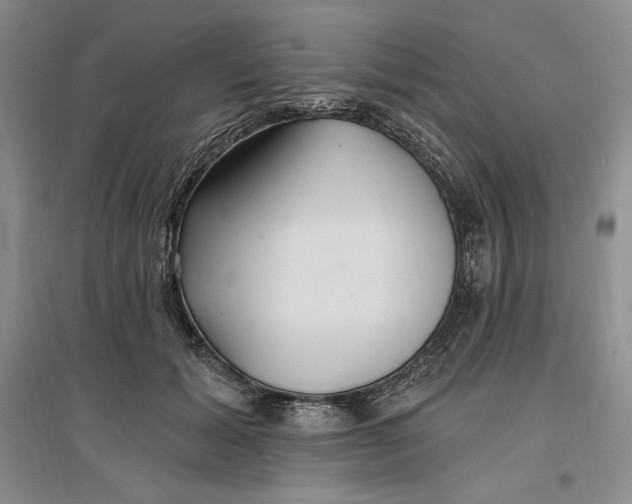 X0000096970605200802291123