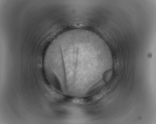 X0000096970606200802291123