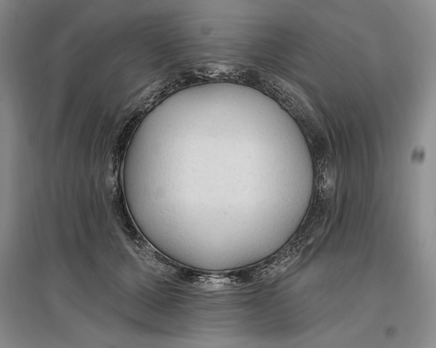 X0000096970607200802291123