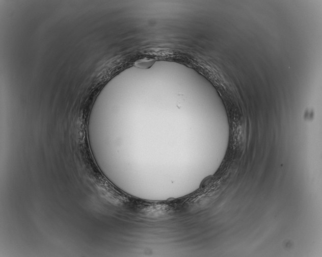 X0000096970609200802291123