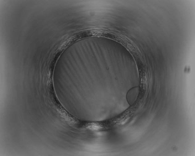 X0000096970610200802291123