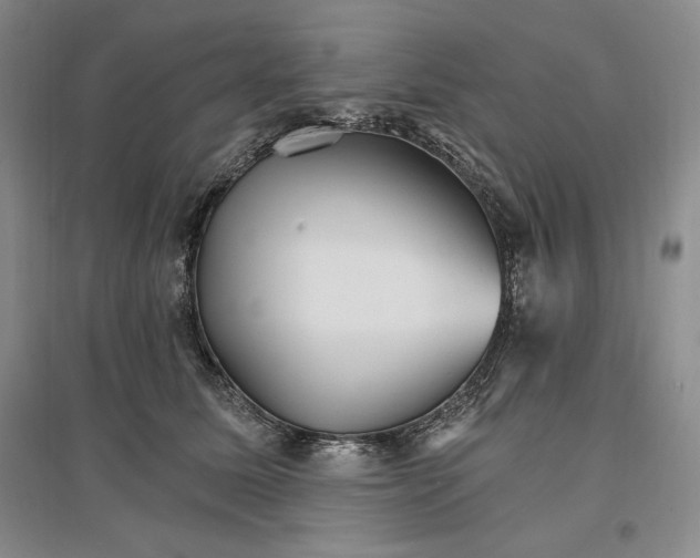 X0000096970611200802291123