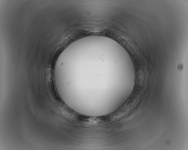 X0000096970612200802291123