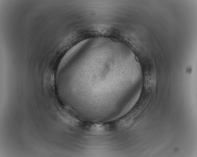 X0000096970613200802291123