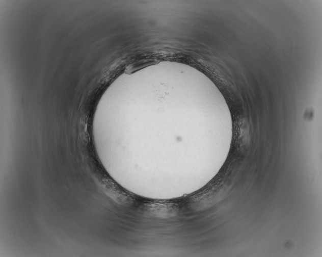 X0000096970615200802291123