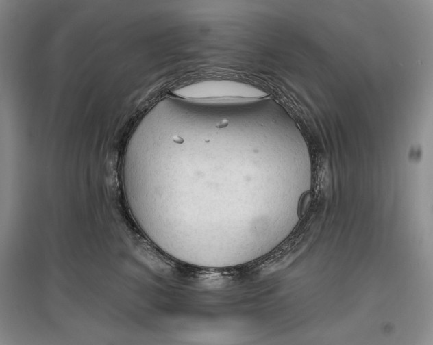 X0000096970616200802291123