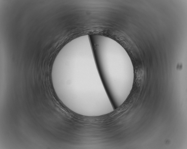 X0000096970617200802291123