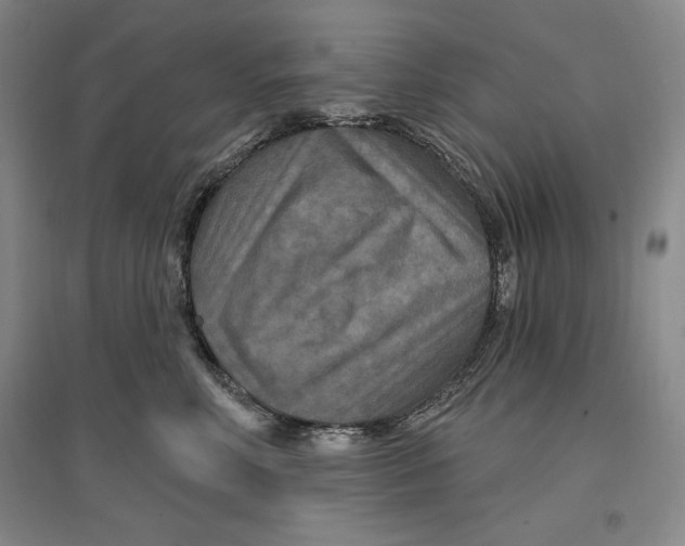 X0000096970618200802291123