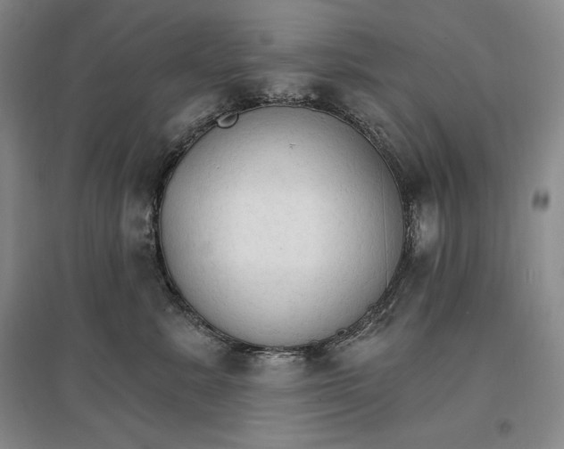 X0000096970619200802291123