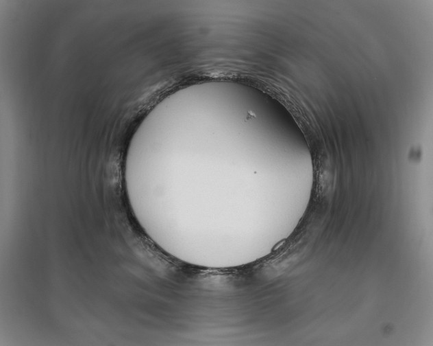 X0000096970620200802291123