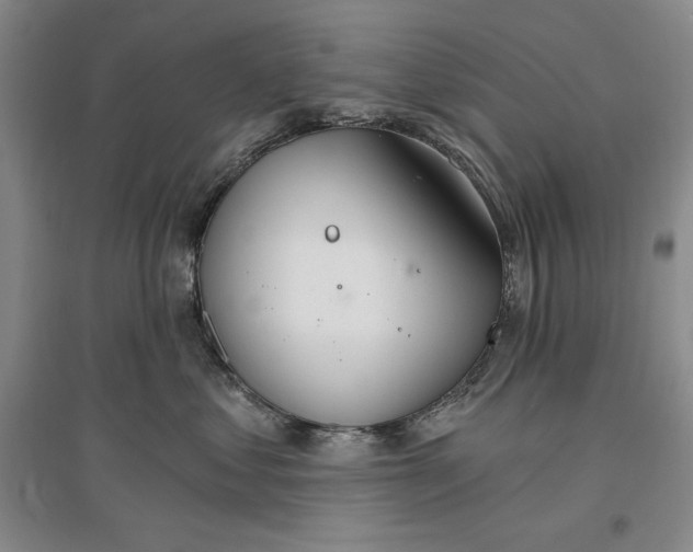 X0000096970621200802291123