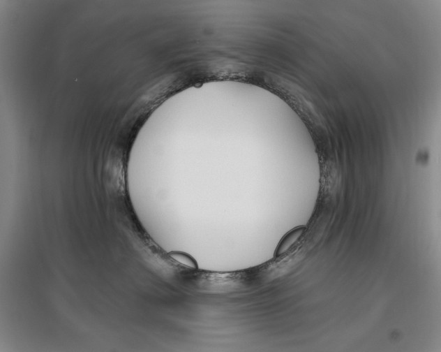 X0000096970622200802291123