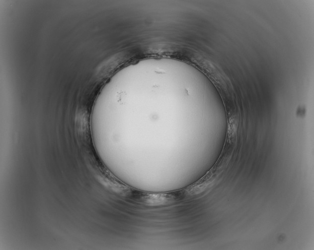 X0000096970623200802291123