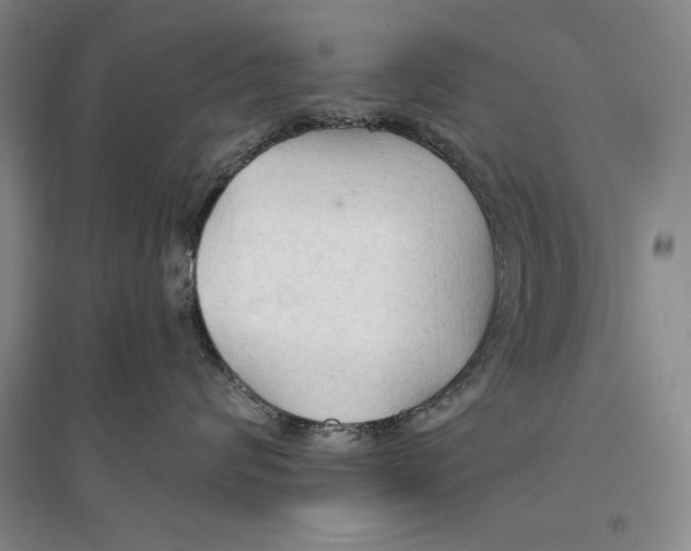 X0000096970624200802291123