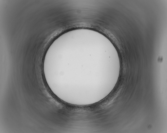 X0000096970625200802291122