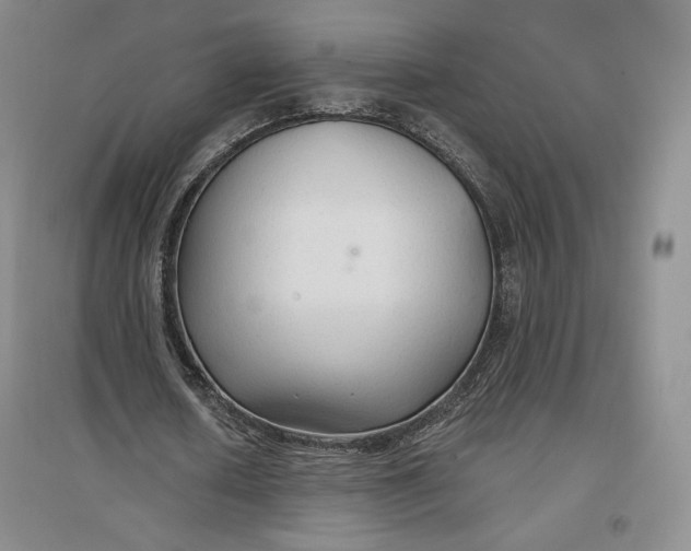 X0000096970626200802291122