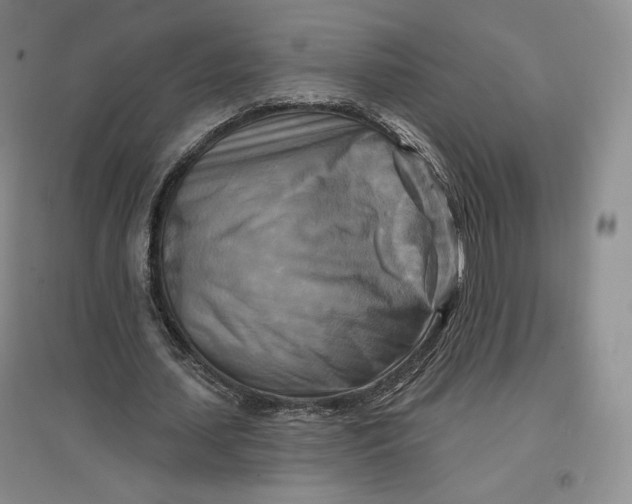 X0000096970627200802291122