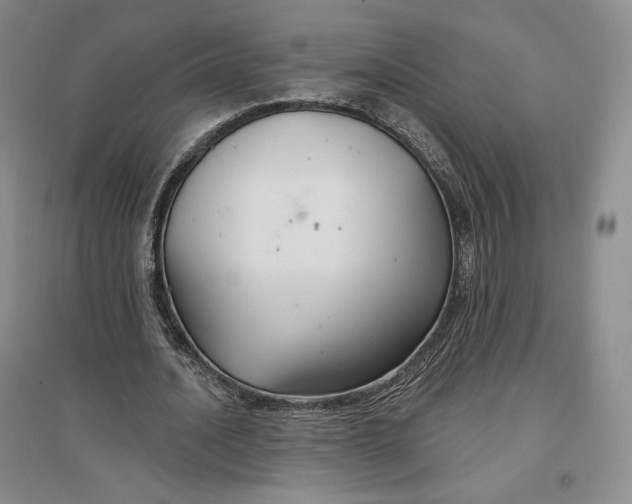 X0000096970628200802291122