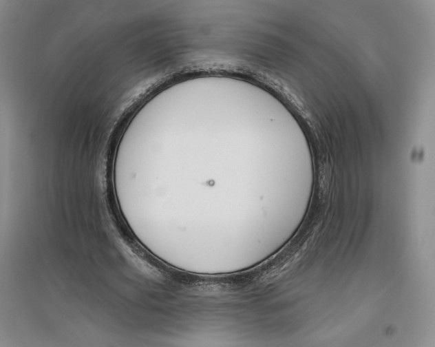 X0000096970629200802291122