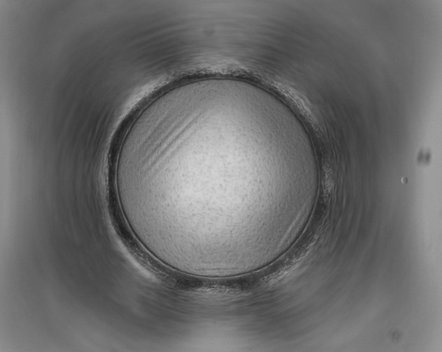 X0000096970630200802291122