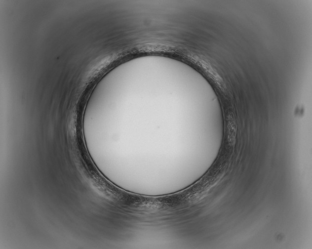 X0000096970631200802291122