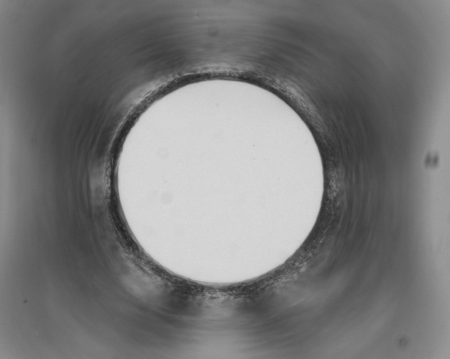 X0000096970632200802291122