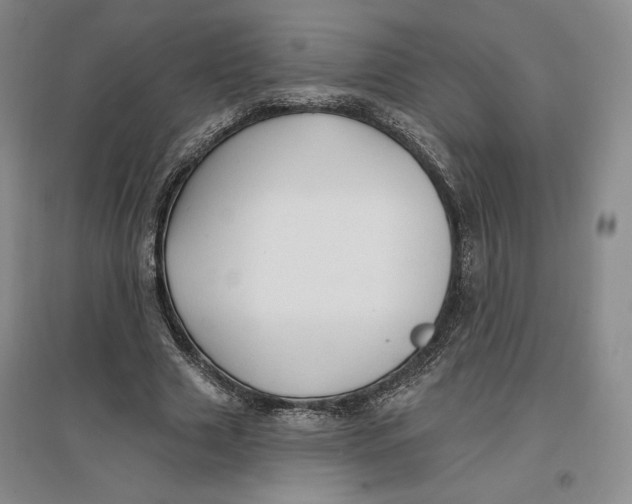 X0000096970633200802291122