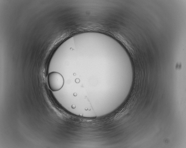 X0000096970634200802291122