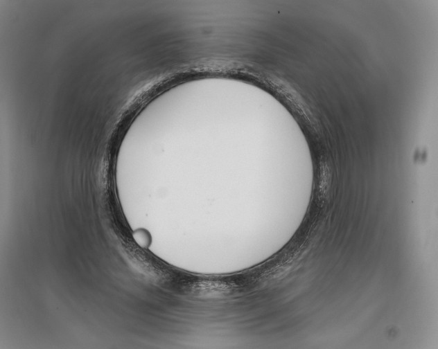 X0000096970636200802291122