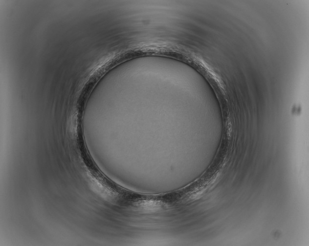 X0000096970637200802291122