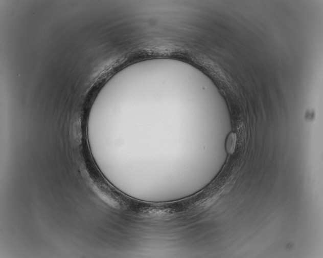 X0000096970638200802291122