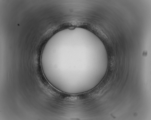 X0000096970639200802291122