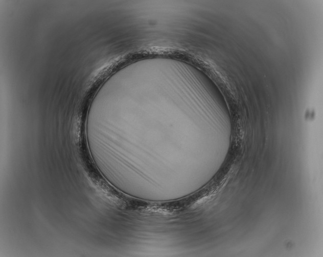 X0000096970640200802291122