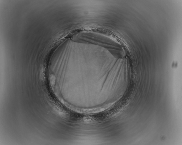 X0000096970641200802291122