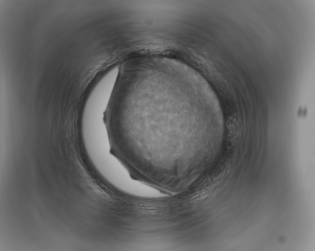 X0000096970642200802291122