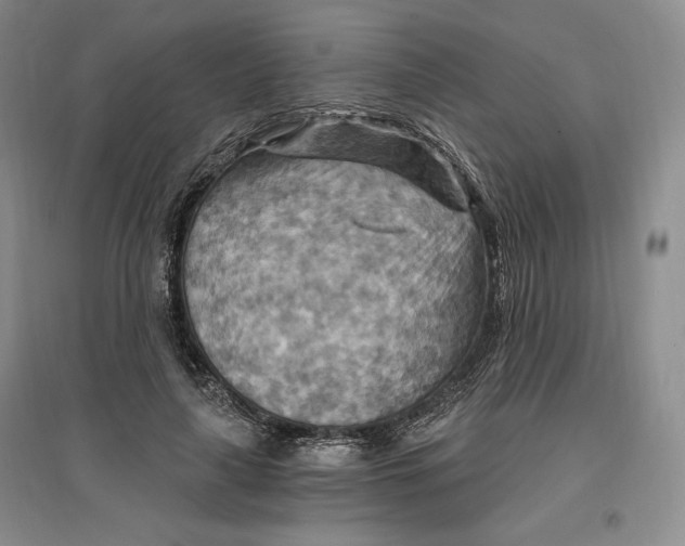 X0000096970643200802291122